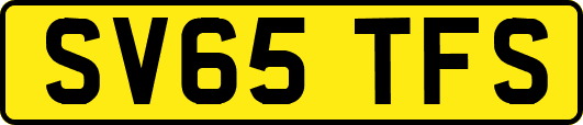 SV65TFS