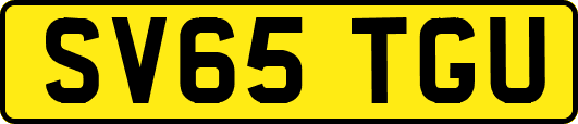 SV65TGU