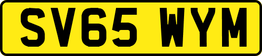 SV65WYM