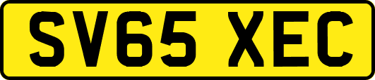 SV65XEC