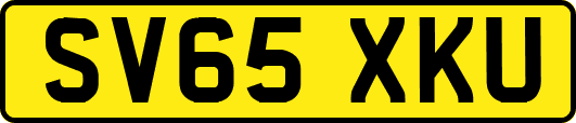 SV65XKU