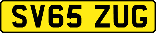SV65ZUG