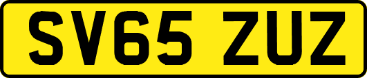 SV65ZUZ