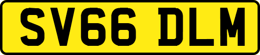 SV66DLM