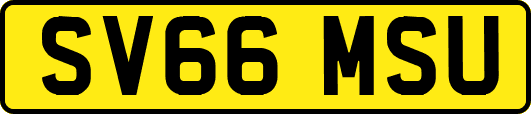 SV66MSU