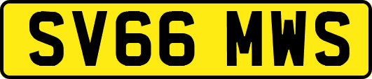 SV66MWS