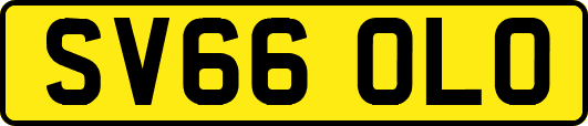 SV66OLO