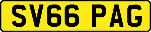 SV66PAG