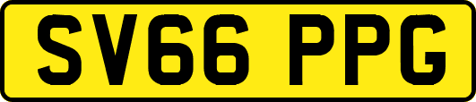 SV66PPG