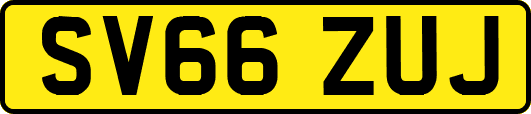 SV66ZUJ