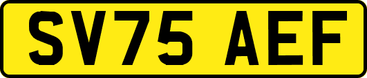 SV75AEF
