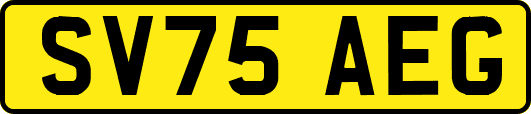 SV75AEG