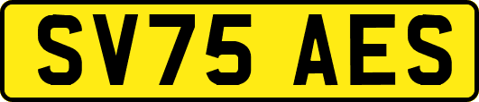 SV75AES