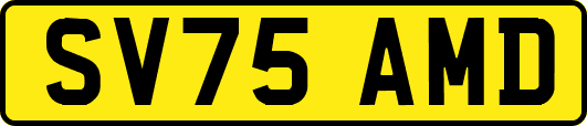 SV75AMD