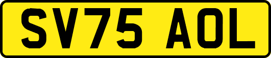 SV75AOL
