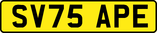 SV75APE