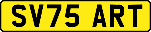 SV75ART