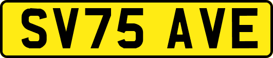 SV75AVE