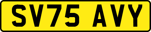 SV75AVY