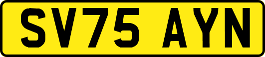 SV75AYN