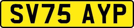 SV75AYP