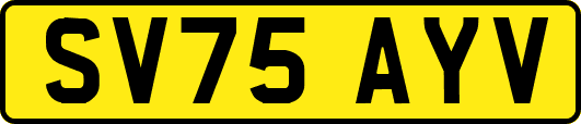 SV75AYV