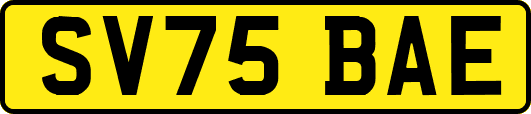 SV75BAE