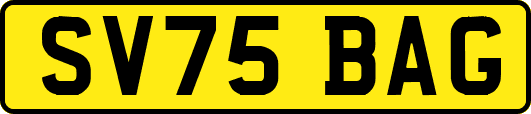 SV75BAG