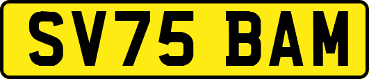 SV75BAM