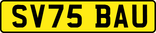 SV75BAU