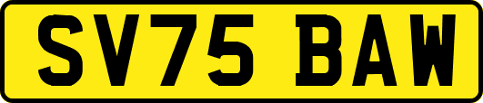SV75BAW