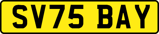 SV75BAY