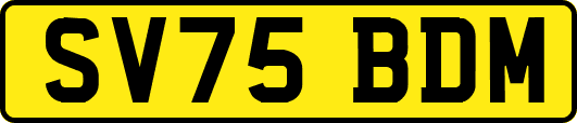 SV75BDM