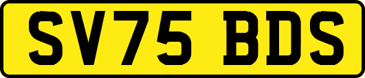 SV75BDS