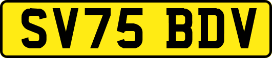 SV75BDV