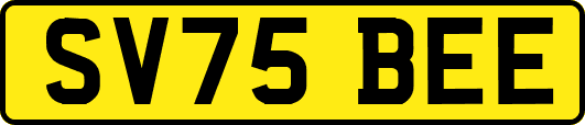 SV75BEE