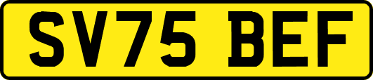 SV75BEF