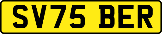 SV75BER