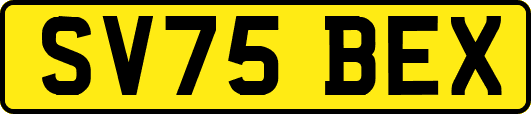 SV75BEX