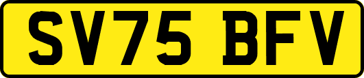 SV75BFV