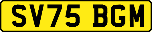 SV75BGM