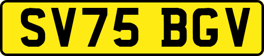 SV75BGV