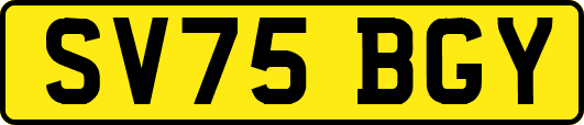 SV75BGY
