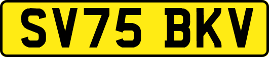 SV75BKV