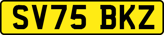 SV75BKZ