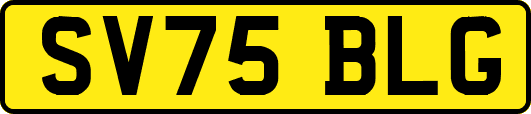 SV75BLG