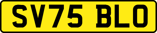 SV75BLO