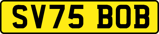 SV75BOB