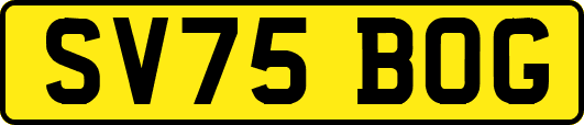 SV75BOG
