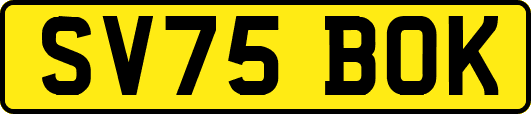 SV75BOK